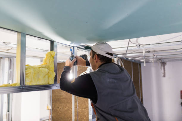 Best Energy Efficiency Insulation in Bnchard, LA