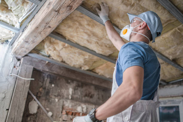 Best Spray Foam Insulation in Bnchard, LA