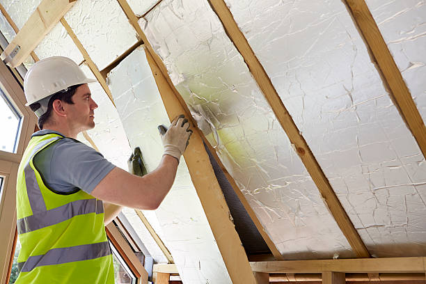 Best Geographic-Specific Insulation Services in Bnchard, LA