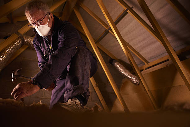 Types of Insulation We Offer in Blanchard, LA