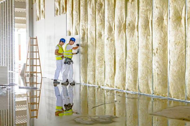 Types of Insulation We Offer in Blanchard, LA